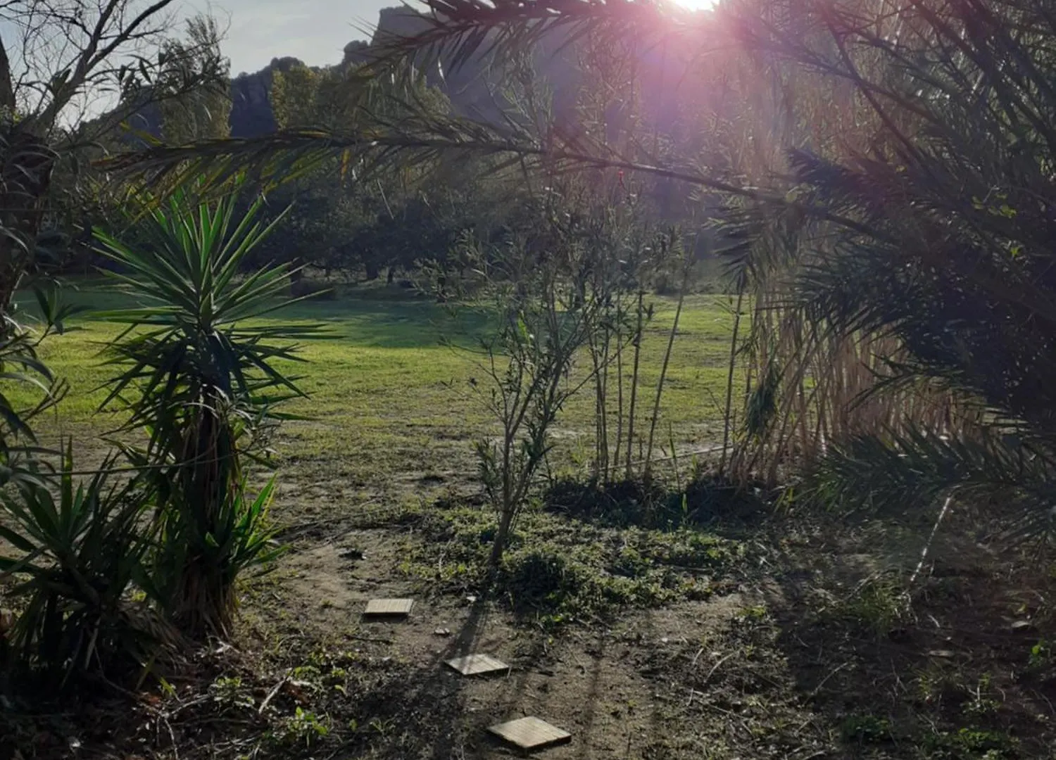 Holiday home Bergerie Au Bord Du Lac Acces Prive Roquebrune-sur-Argens