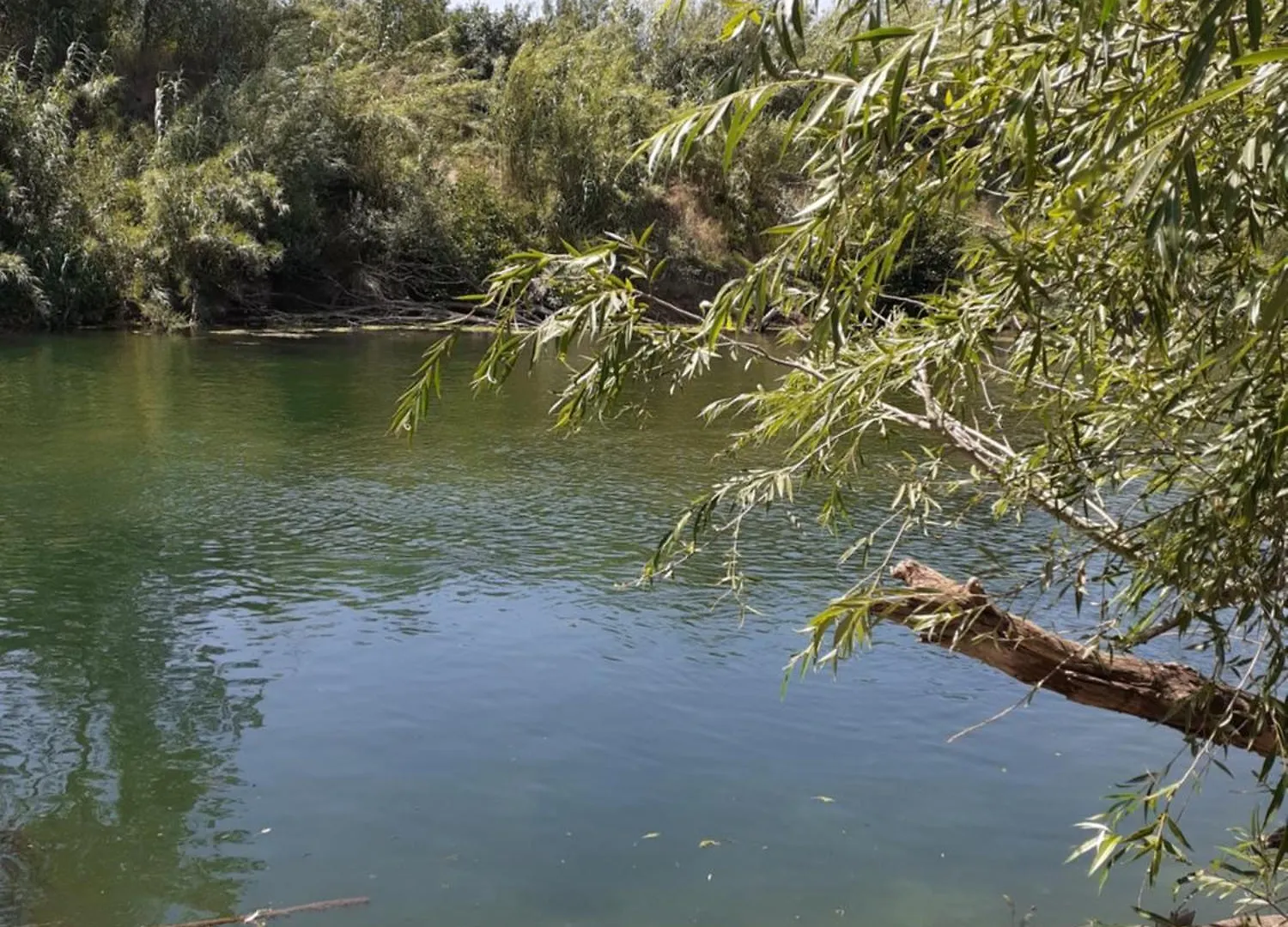 Bergerie Au Bord Du Lac Acces Prive Roquebrune-sur-Argens