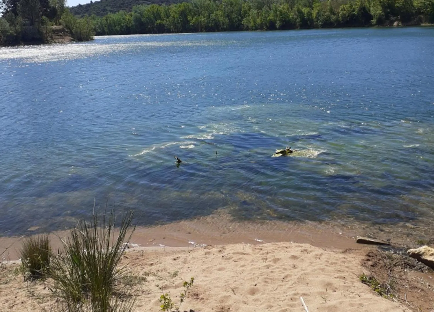 Bergerie Au Bord Du Lac Acces Prive Roquebrune-sur-Argens Holiday home
