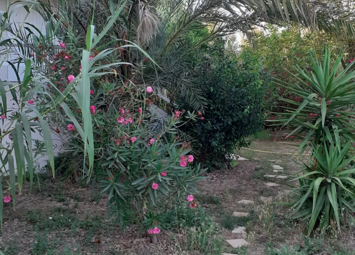 Bergerie Au Bord Du Lac Acces Prive Roquebrune-sur-Argens 0*,