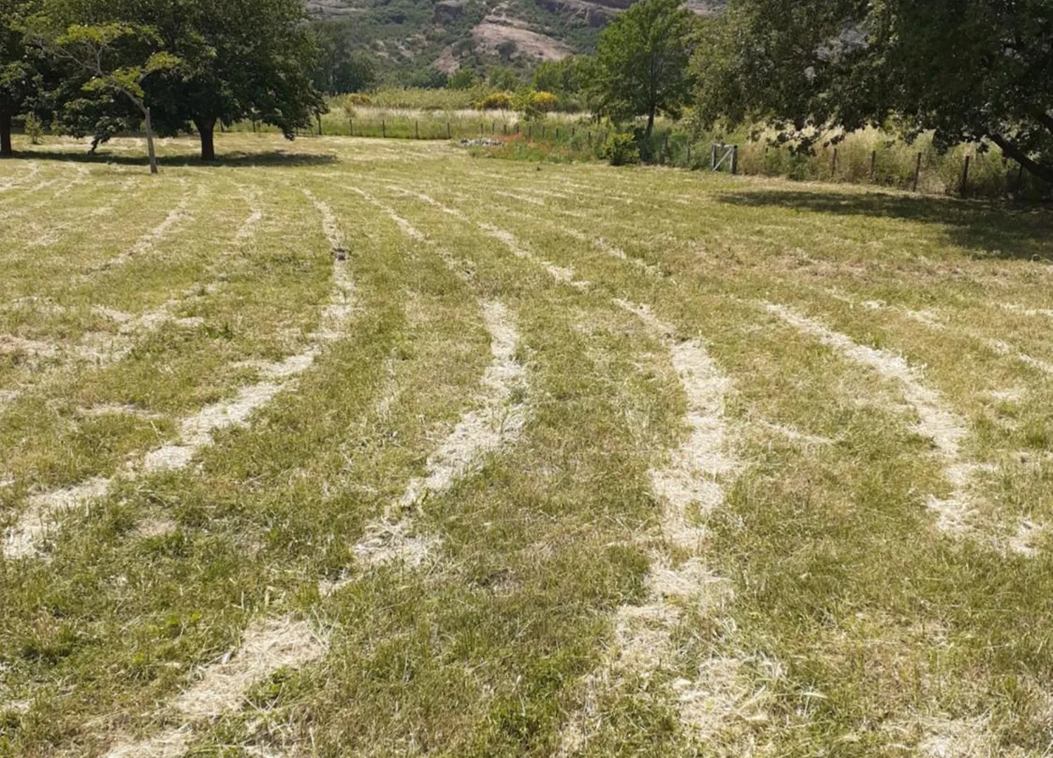 Bergerie Au Bord Du Lac Acces Prive Roquebrune-sur-Argens 0*,  France